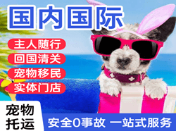 启阳空运公司国际宠物托运 【国